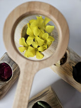 Load image into Gallery viewer, QToys Wooden Magnifying Glass