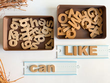 Load image into Gallery viewer, Eco-Friendly Lined Paper Bases (3D-printed)