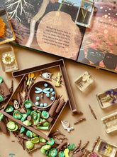 Load image into Gallery viewer, Bird House Bio Sensory Play Tray