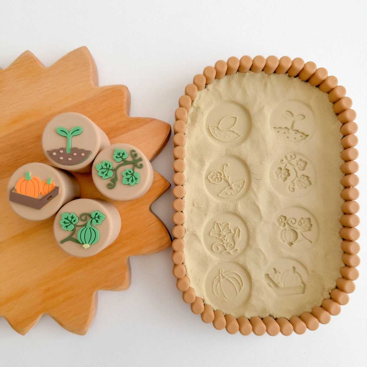 Pumpkin Life Cycle Stamp 8 Stages double sided - Ready to 3D Print STL and 3MF Digital Download