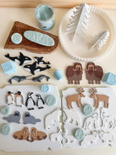 Load image into Gallery viewer, Arctic Collection – Nature-Inspired Sensory Play by WooBeWee™