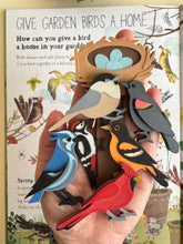 Load image into Gallery viewer, Bird-Themed Sensory and Learning Counters