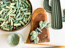 Load image into Gallery viewer, Cactus Bio Mold