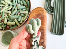 Load image into Gallery viewer, Cactus Bio Mold