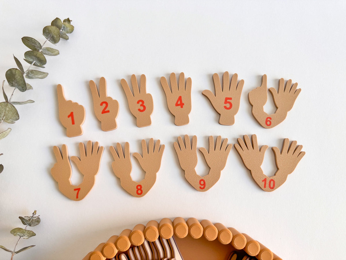 Finger Counting Hands - Ready to 3D Print STL and 3MF Digital Download