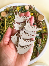 Load image into Gallery viewer, Feed the Frog Sensory Play Tube with 20 pcs Delicious Feast