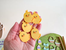 Load image into Gallery viewer, Feed the Old Lady: A Silly Sensory Adventure!