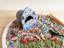 Load image into Gallery viewer, Feed the Shark: A Jawsome Sensory Play Adventure with 20 pcs Delicious Feast