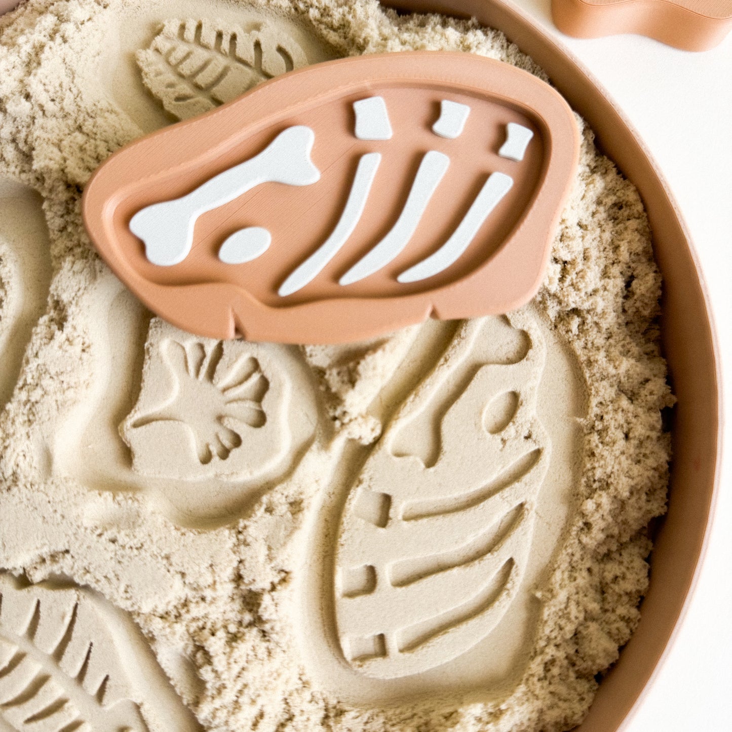 Prehistoric Rock Fossils 3D-printed set of 5