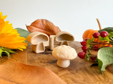 Load image into Gallery viewer, Mushroom Bio Mold