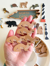 Load image into Gallery viewer, Great Dismal Swamp & North Carolina Sensory Collection