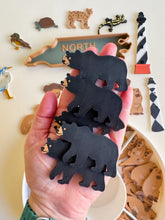 Load image into Gallery viewer, Great Dismal Swamp & North Carolina Sensory Collection