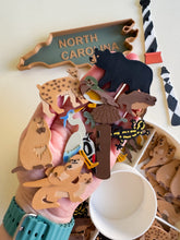 Load image into Gallery viewer, Great Dismal Swamp & North Carolina Sensory Collection