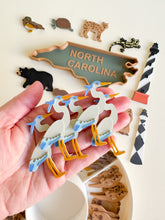 Load image into Gallery viewer, Great Dismal Swamp & North Carolina Sensory Collection