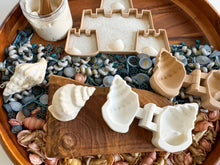 Load image into Gallery viewer, Playful Seashell Bio Mold