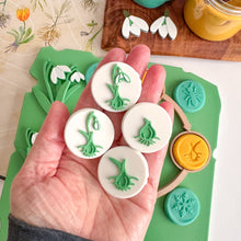 Load image into Gallery viewer, Snowdrop Life Cycle Stamp Set by inniko and Larabu