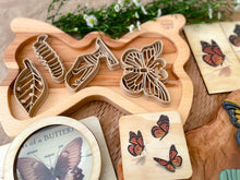 Load image into Gallery viewer, Butterfly Life Cycle Bio Dough Cutter set of 4