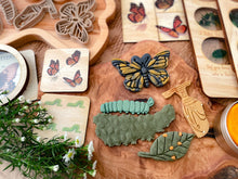 Load image into Gallery viewer, Butterfly Life Cycle Bio Dough Cutter set of 4