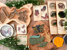 Load image into Gallery viewer, Butterfly Life Cycle Bio Dough Cutter set of 4
