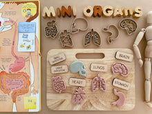 Load image into Gallery viewer, Mini Organs Bio Dough Cutter sets or individuals