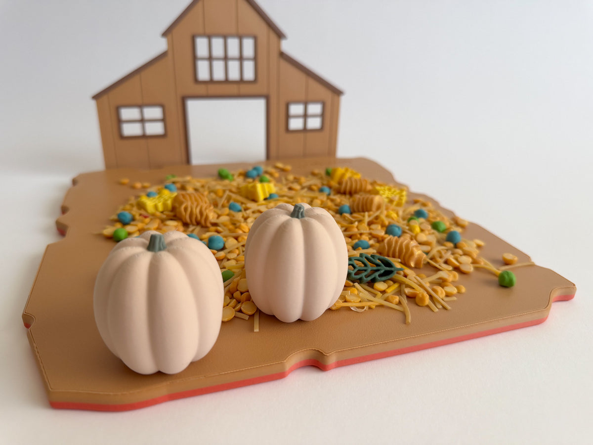 3D Printed Pumpkin Loose Parts | Pretend Play & Sensory Play