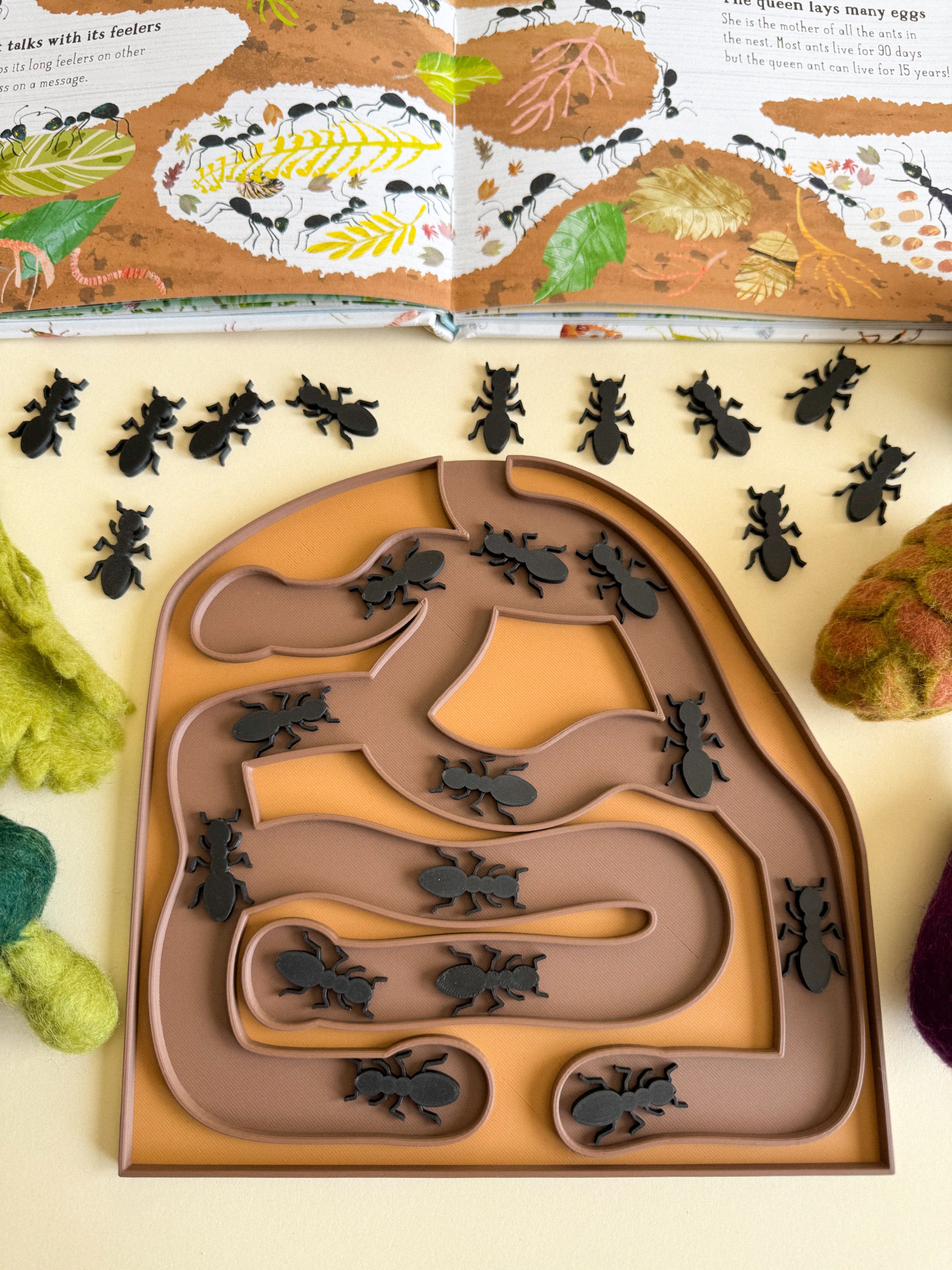 Bio Ant Ant Maze Bio Sensory Play Tray with Ants set of 10 – NatureBasedToys
