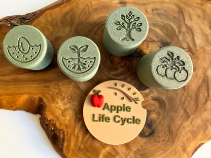 Apple Life Cycle Stamp 8 Stages - Ready to 3D Print STL and 3MF Digital Download