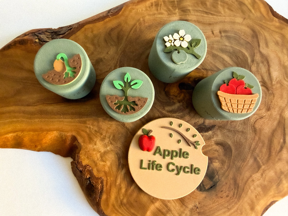 Apple Life Cycle Stamp 8 Stages - Ready to 3D Print STL and 3MF Digital Download