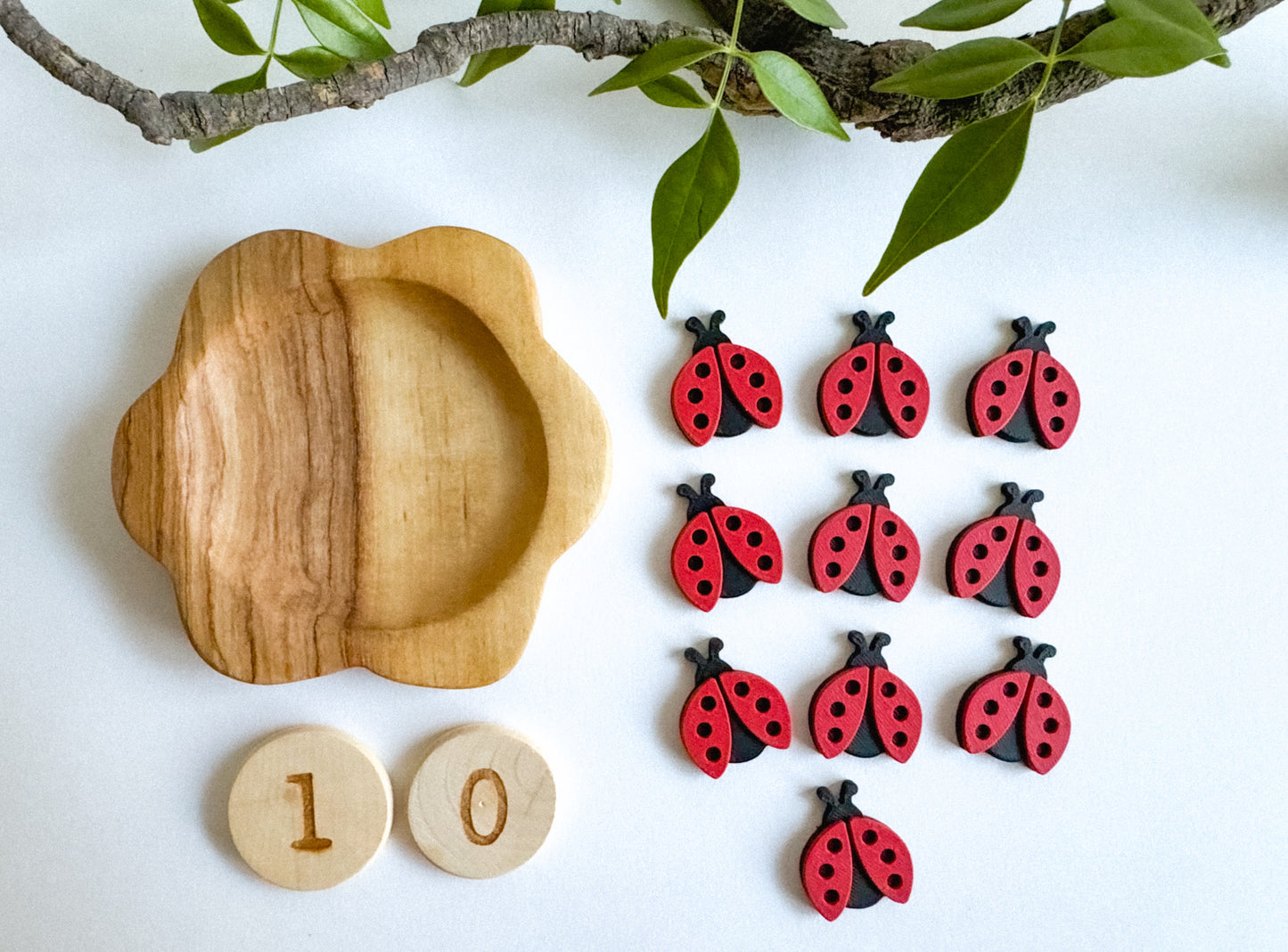 Bug-themed Math Counters set of 10