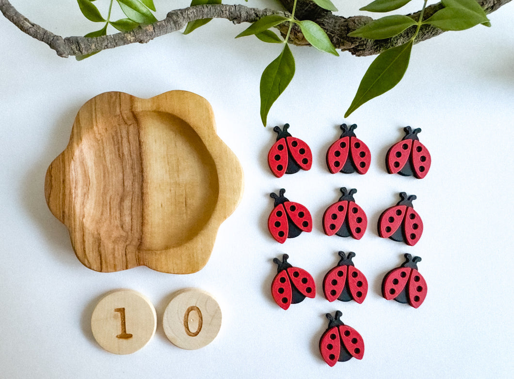 Bug-themed Math Counters set of 10