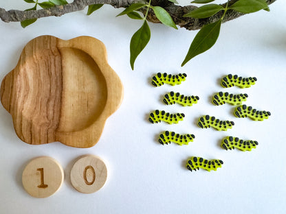 Bug-themed Math Counters set of 10
