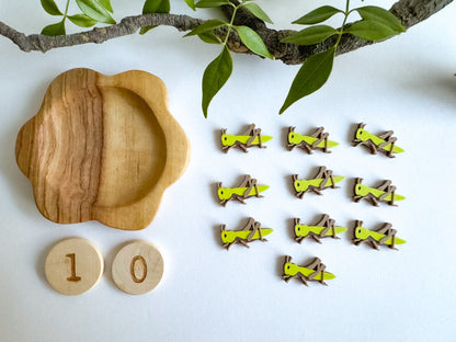 Bug-themed Math Counters set of 10