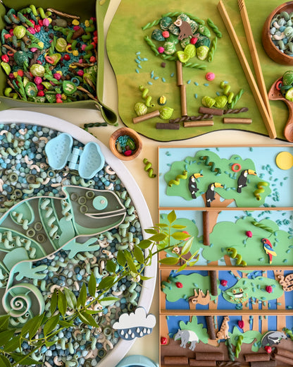 Chameleon Bio Sensory Play Tray for Sensory Activities