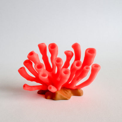 Coral Garden for Sensory Play, 3D-printed by WooBeWee™