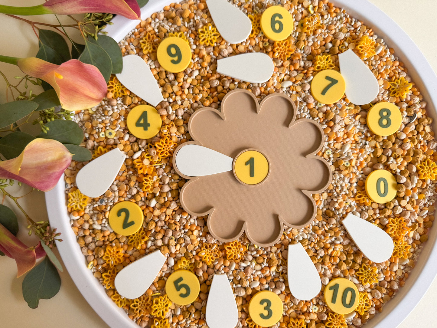 Counting Flower Petals Set, 3D-printed