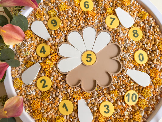 Counting Flower Petals Set, 3D-printed