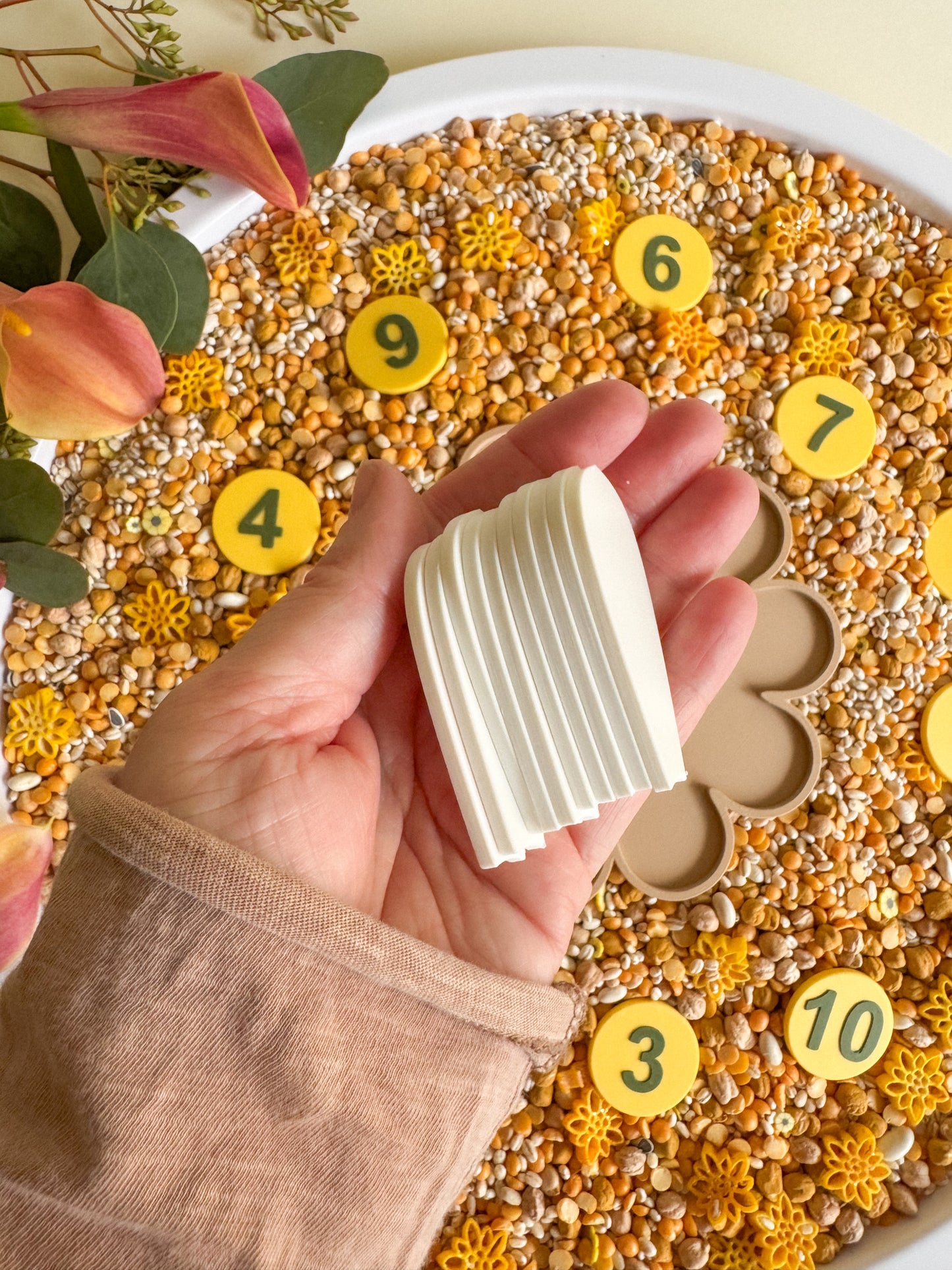 Counting Flower Petals Set, 3D-printed