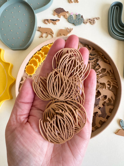 Sandy Toes & Sunshine, The Living Desert Collection for Sensory Play