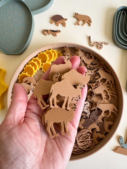 Sandy Toes & Sunshine, The Living Desert Collection for Sensory Play