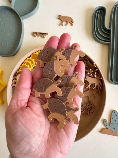 Sandy Toes & Sunshine, The Living Desert Collection for Sensory Play