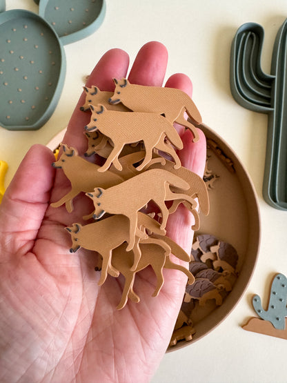 Sandy Toes & Sunshine, The Living Desert Collection for Sensory Play
