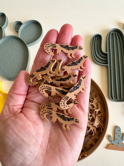 Sandy Toes & Sunshine, The Living Desert Collection for Sensory Play