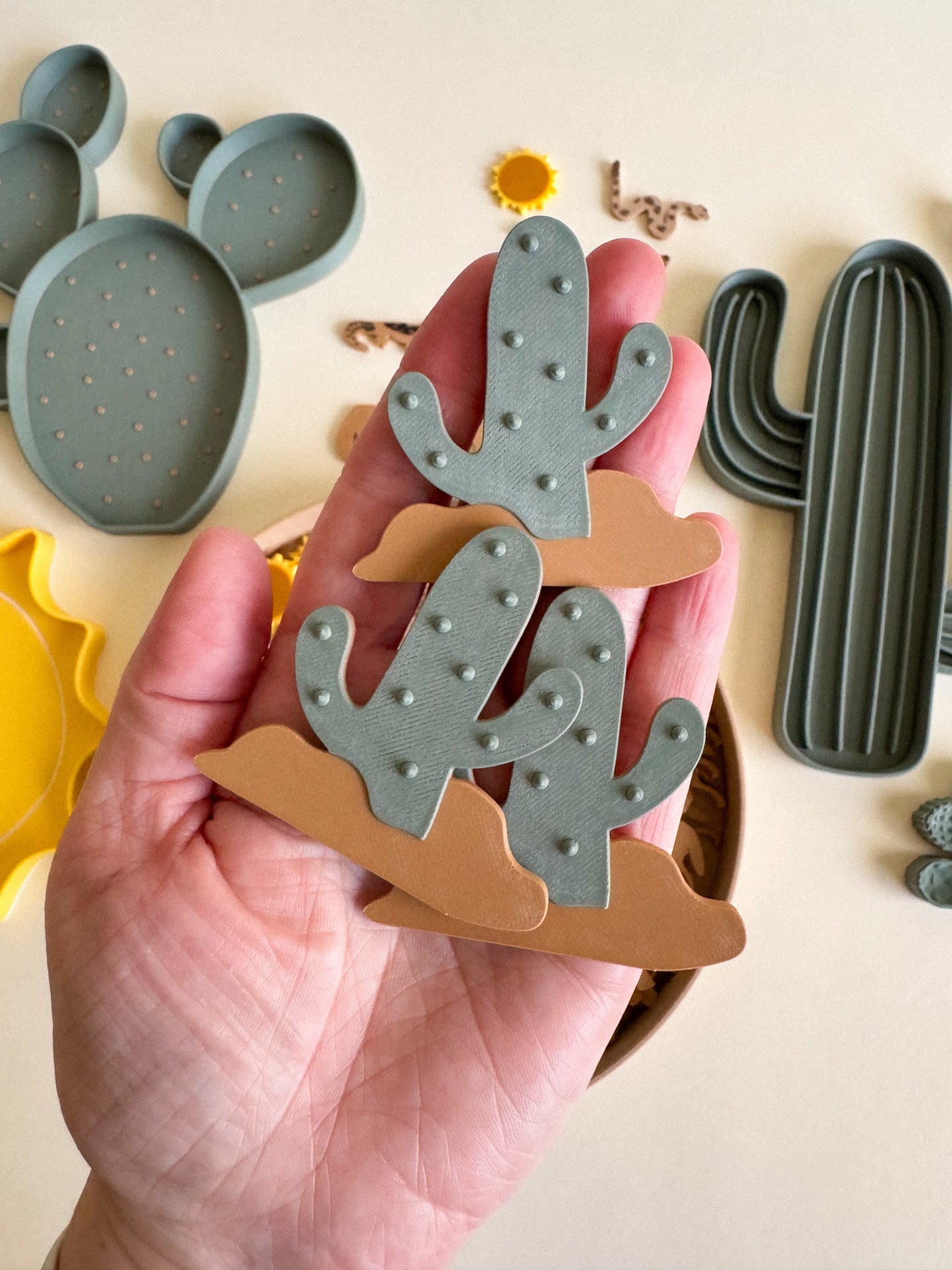 Sandy Toes & Sunshine, The Living Desert Collection for Sensory Play