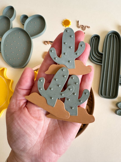 Sandy Toes & Sunshine, The Living Desert Collection for Sensory Play