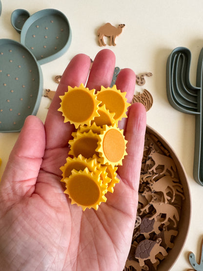 Sandy Toes & Sunshine, The Living Desert Collection for Sensory Play