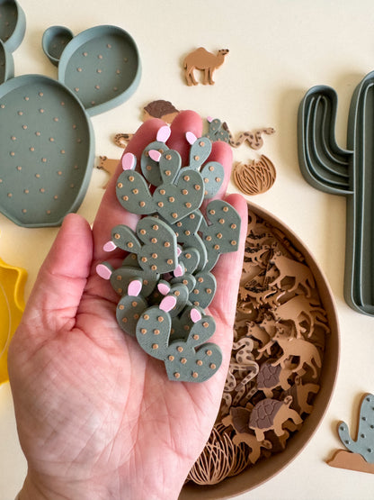 Sandy Toes & Sunshine, The Living Desert Collection for Sensory Play
