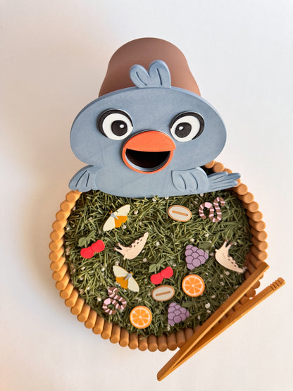 Feed The Hungry Bird Sensory Adventure by WooBeWee