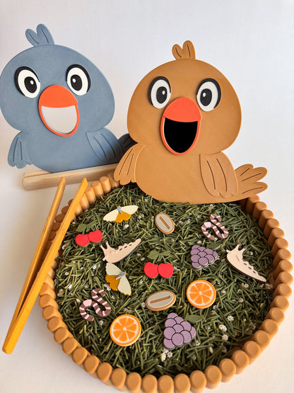 Feed The Hungry Bird Sensory Adventure by WooBeWee
