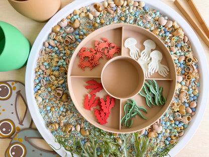 Feed the Sea Turtle: An Ocean Sensory Play Adventure with 20 pcs Delicious Feast