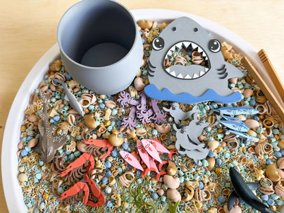 Feed the Shark: A Jawsome Sensory Play Adventure with 20 pcs Delicious Feast